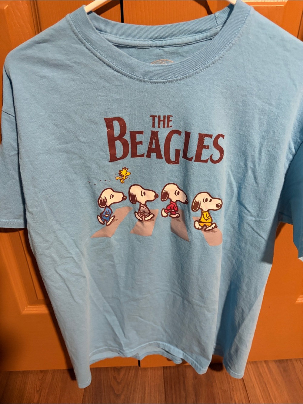 Agl Light Blue 'The Beagles' Graphic Kids Tee